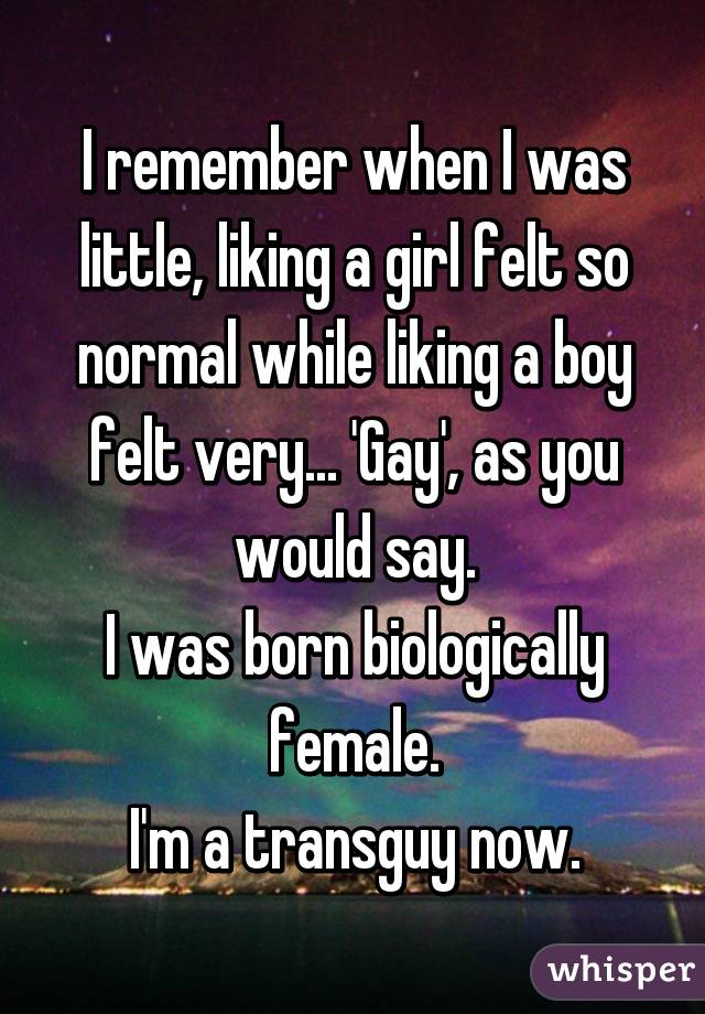 I remember when I was little, liking a girl felt so normal while liking a boy felt very... 'Gay', as you would say.
I was born biologically female.
I'm a transguy now.