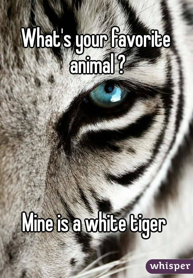 What's your favorite animal ?





Mine is a white tiger 