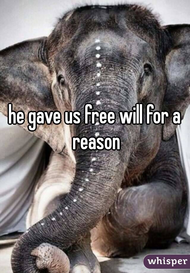 he gave us free will for a reason
