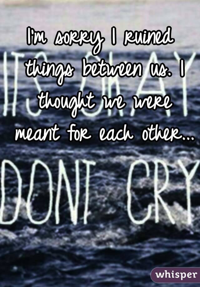 I'm sorry I ruined things between us. I thought we were meant for each other...