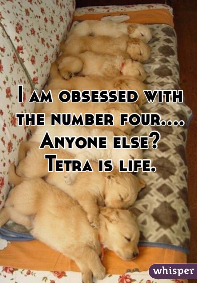 I am obsessed with the number four.... Anyone else? 
Tetra is life.