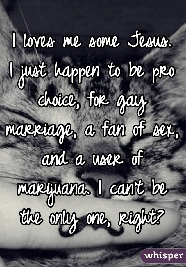 I loves me some Jesus. 
I just happen to be pro choice, for gay marriage, a fan of sex, and a user of marijuana. I can't be the only one, right?