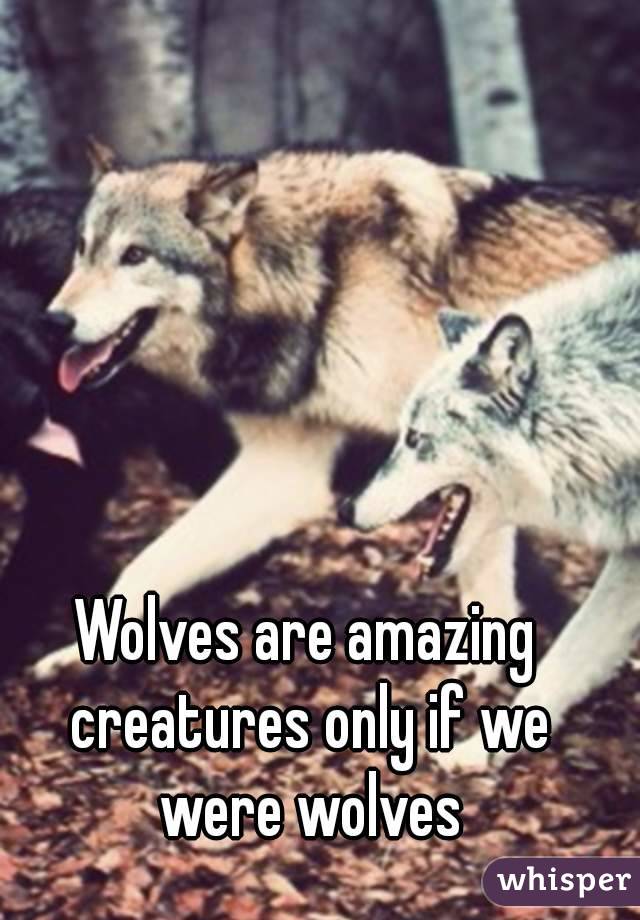 Wolves are amazing creatures only if we were wolves