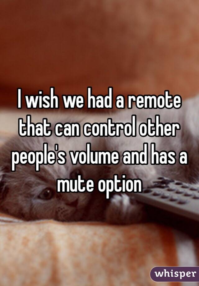 I wish we had a remote that can control other people's volume and has a mute option