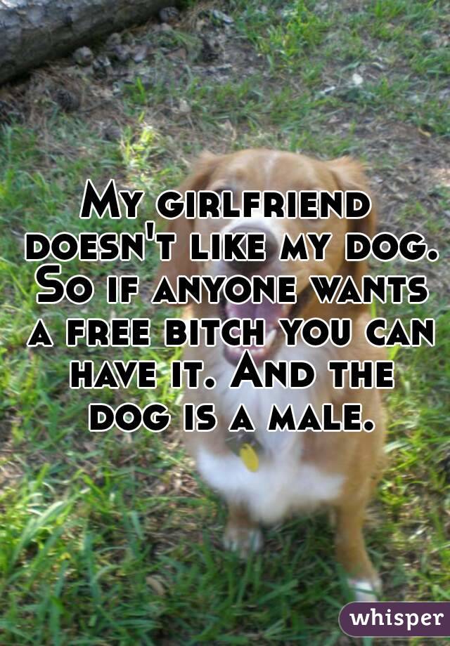 My girlfriend doesn't like my dog. So if anyone wants a free bitch you can have it. And the dog is a male.