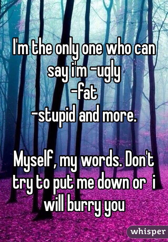 I'm the only one who can say i'm -ugly
-fat
-stupid and more.

Myself, my words. Don't try to put me down or  i will burry you