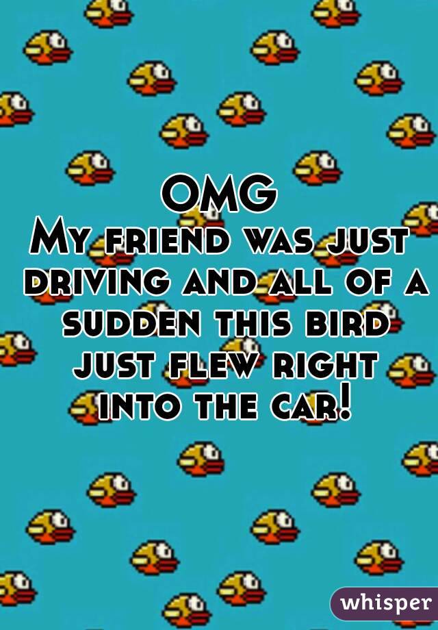 OMG
My friend was just driving and all of a sudden this bird just flew right into the car!