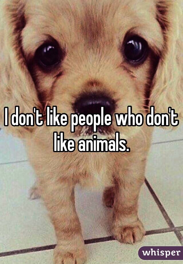 I don't like people who don't like animals. 