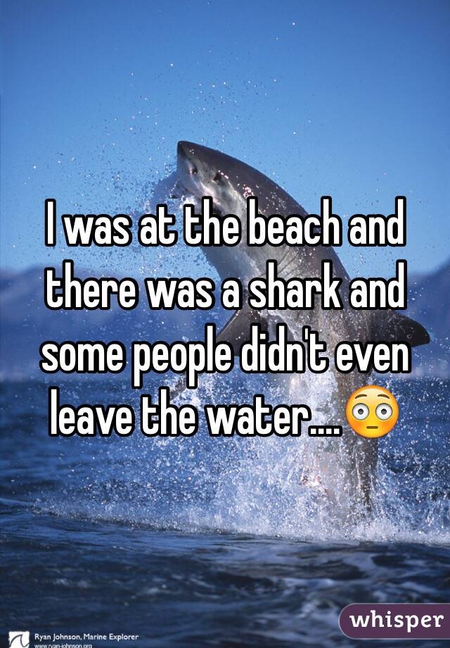 I was at the beach and there was a shark and some people didn't even leave the water....😳