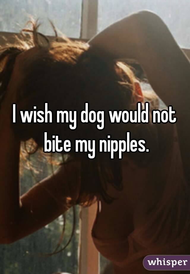 I wish my dog would not bite my nipples.