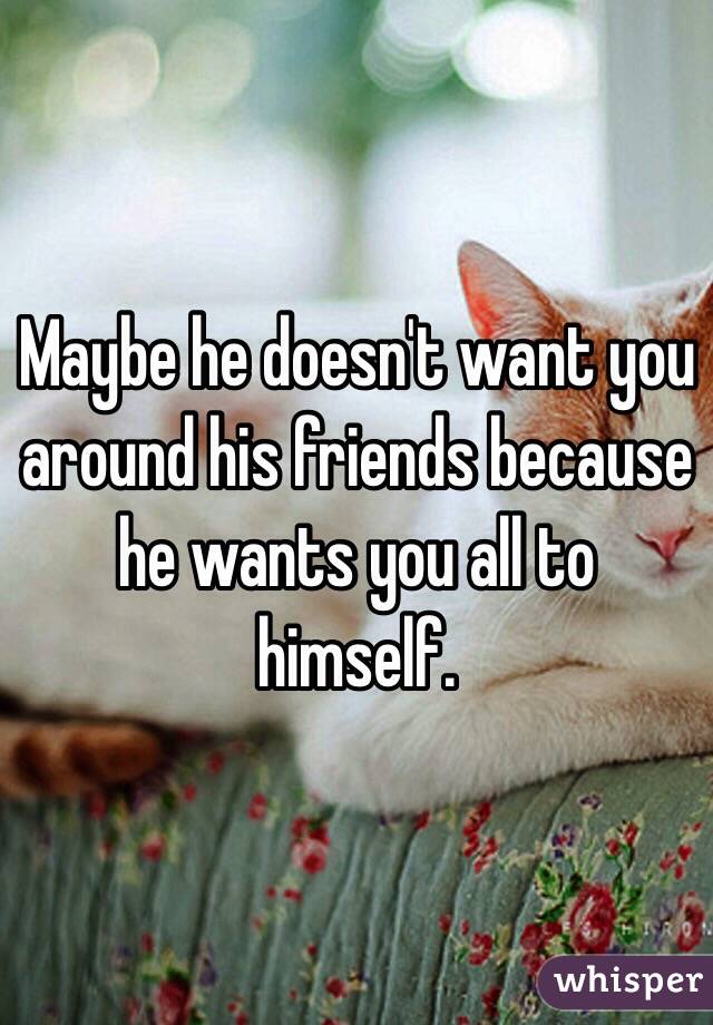 Maybe he doesn't want you around his friends because he wants you all to himself. 