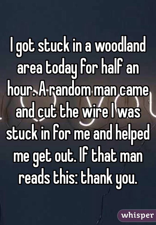 I got stuck in a woodland area today for half an hour. A random man came and cut the wire I was stuck in for me and helped me get out. If that man reads this: thank you.