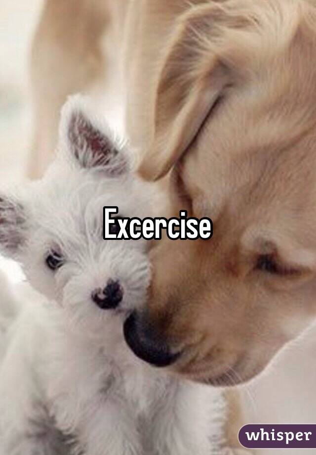 Excercise