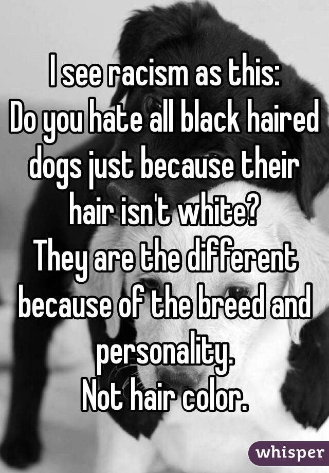 I see racism as this: 
Do you hate all black haired dogs just because their hair isn't white? 
They are the different because of the breed and personality. 
Not hair color.
