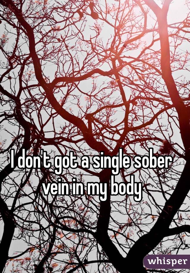 I don't got a single sober vein in my body