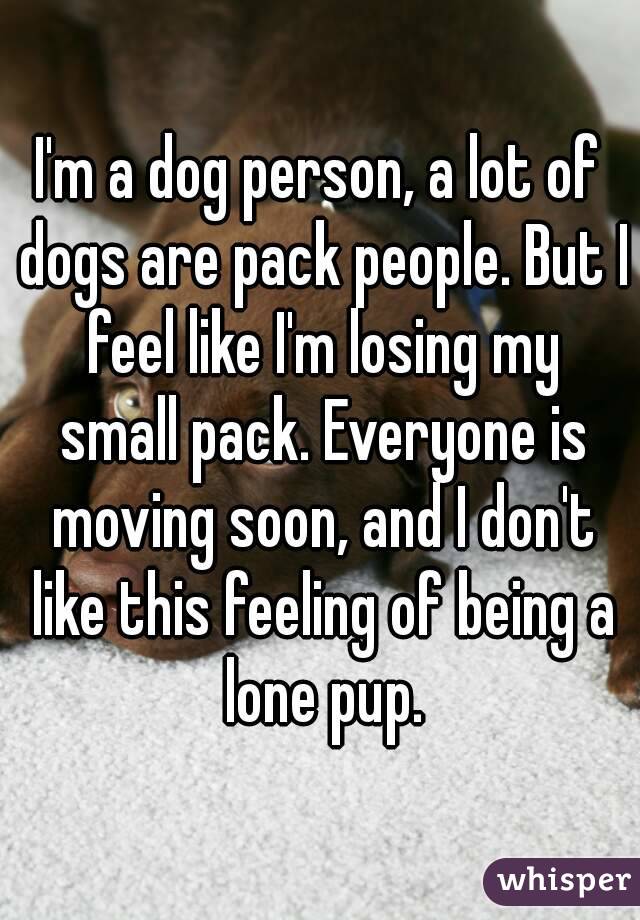 I'm a dog person, a lot of dogs are pack people. But I feel like I'm losing my small pack. Everyone is moving soon, and I don't like this feeling of being a lone pup.