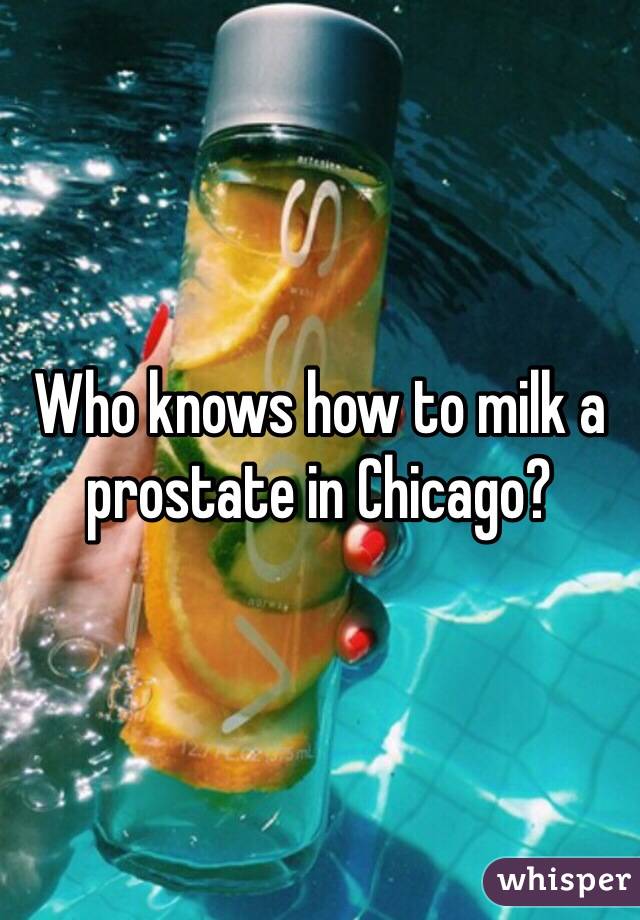 Who knows how to milk a prostate in Chicago?