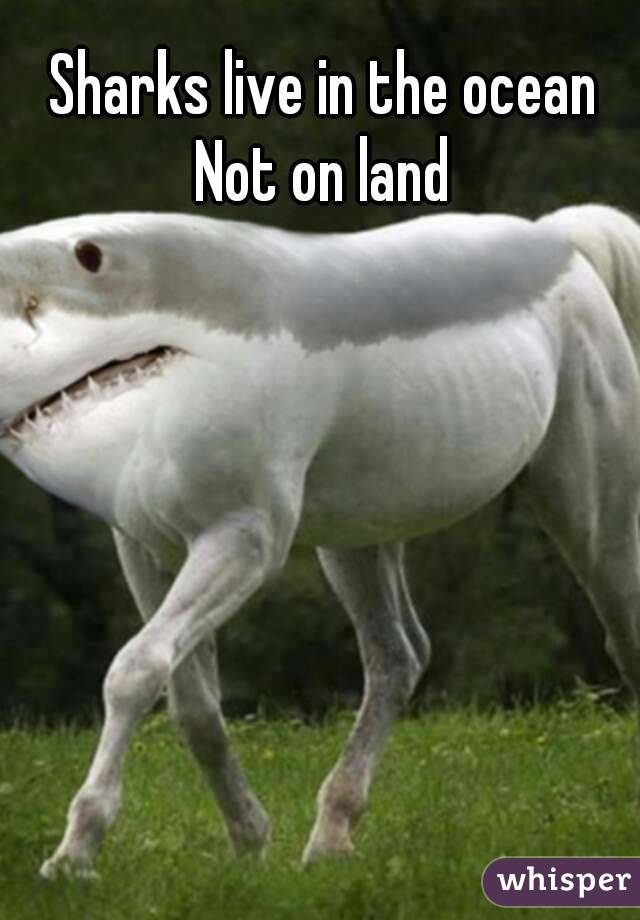 Sharks live in the ocean
Not on land