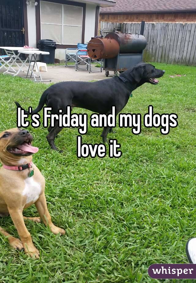 It's Friday and my dogs love it