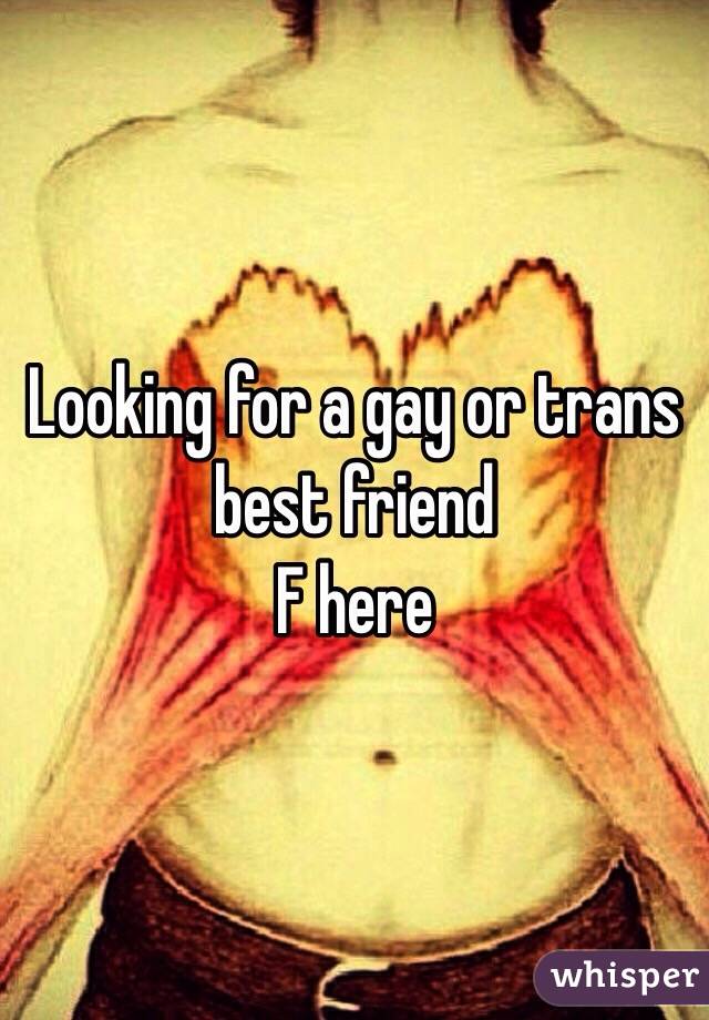 Looking for a gay or trans best friend
F here