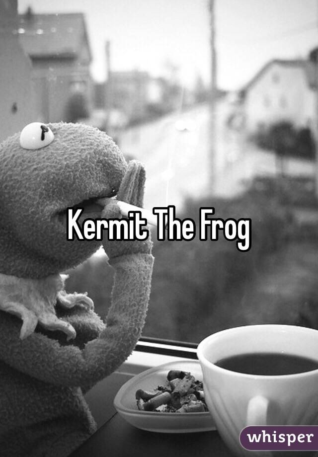 Kermit The Frog