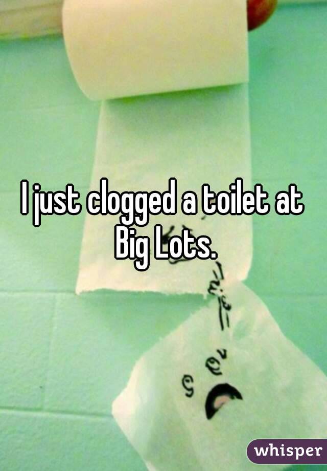 I just clogged a toilet at Big Lots.