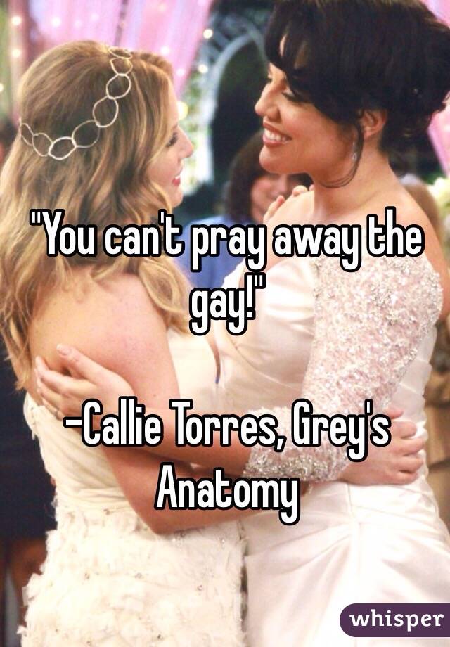 "You can't pray away the gay!" 

-Callie Torres, Grey's Anatomy