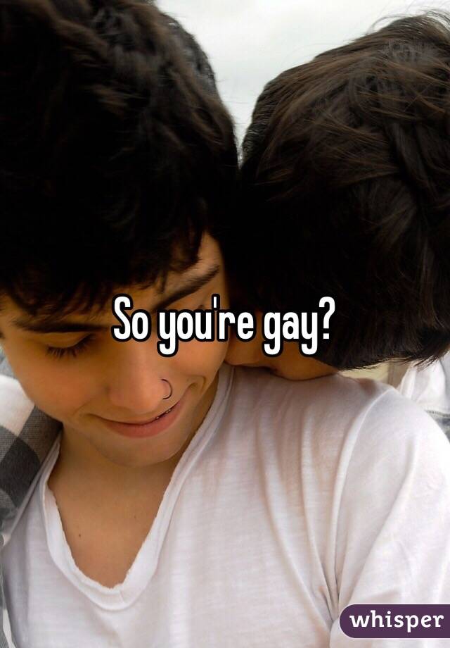 So you're gay?