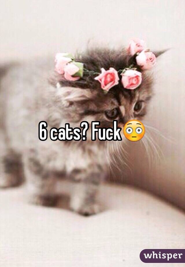 6 cats? Fuck😳