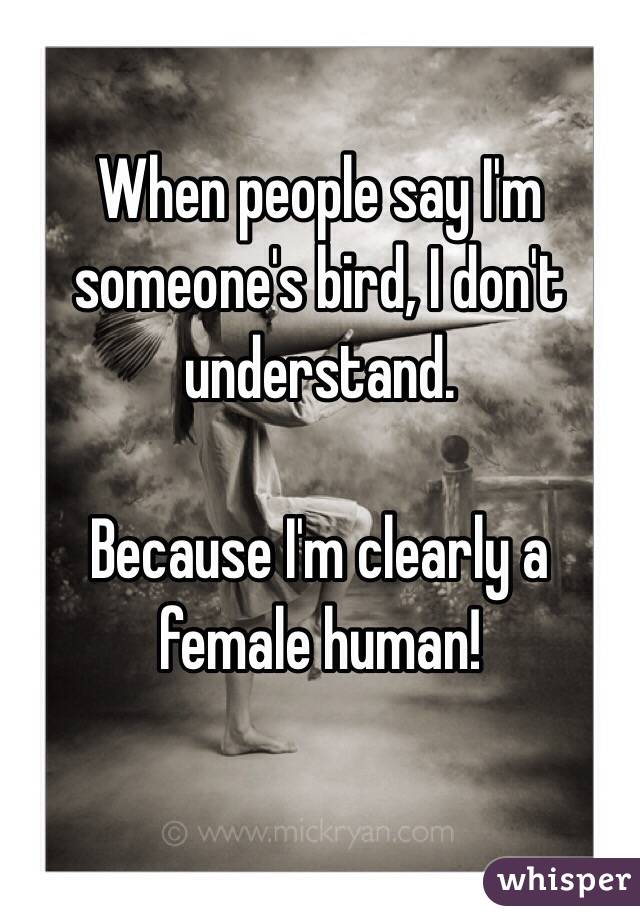 When people say I'm someone's bird, I don't understand.

Because I'm clearly a female human!