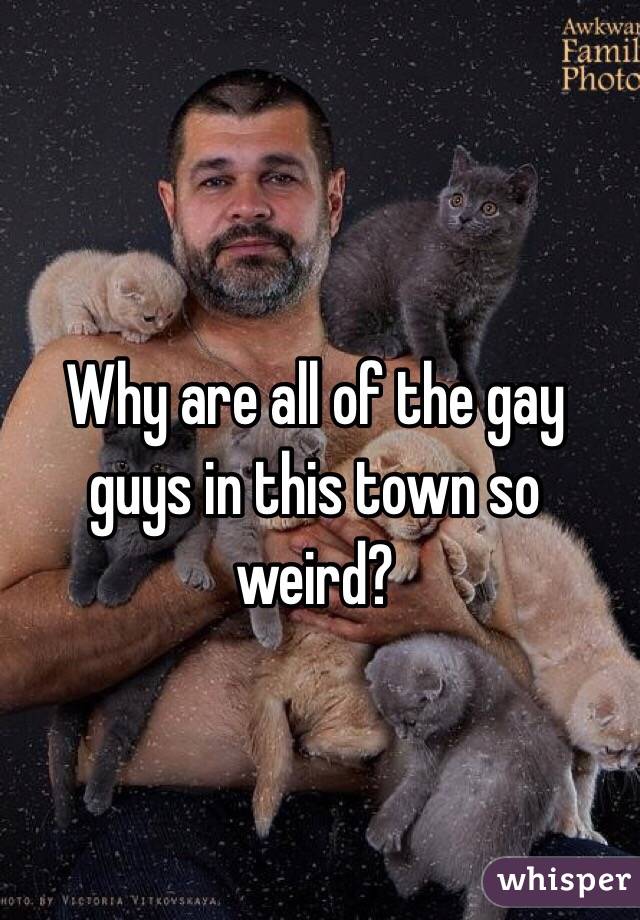 Why are all of the gay guys in this town so weird?