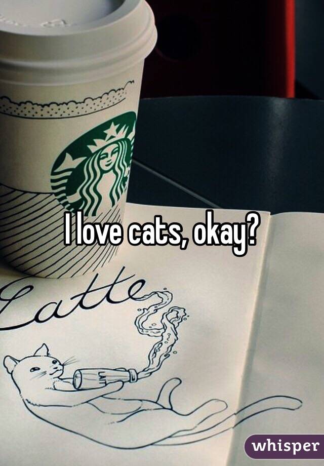 I love cats, okay?