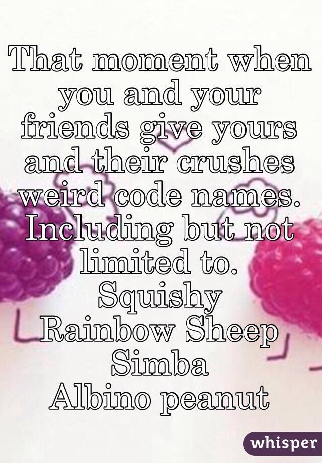 That moment when you and your friends give yours and their crushes weird code names. 
Including but not limited to.
Squishy 
Rainbow Sheep
Simba 
Albino peanut 