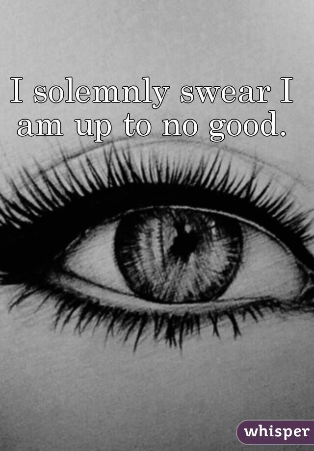 I solemnly swear I am up to no good. 