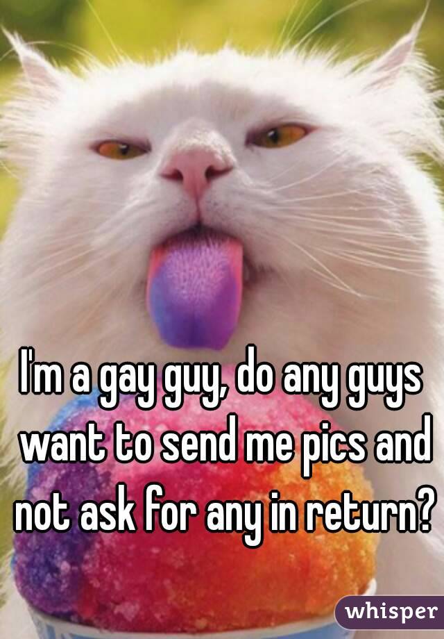 I'm a gay guy, do any guys want to send me pics and not ask for any in return?