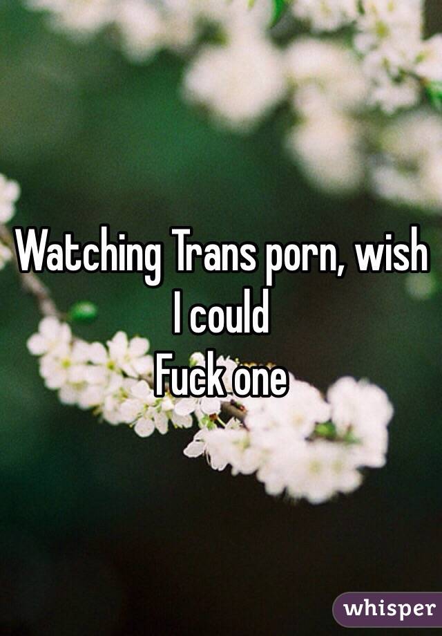 Watching Trans porn, wish I could
Fuck one 