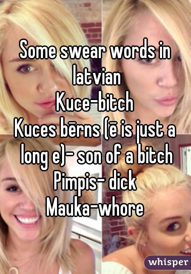 Some swear words in latvian
Kuce-bitch
Kuces bērns (ē is just a long e)- son of a bitch
Pimpis- dick
Mauka-whore