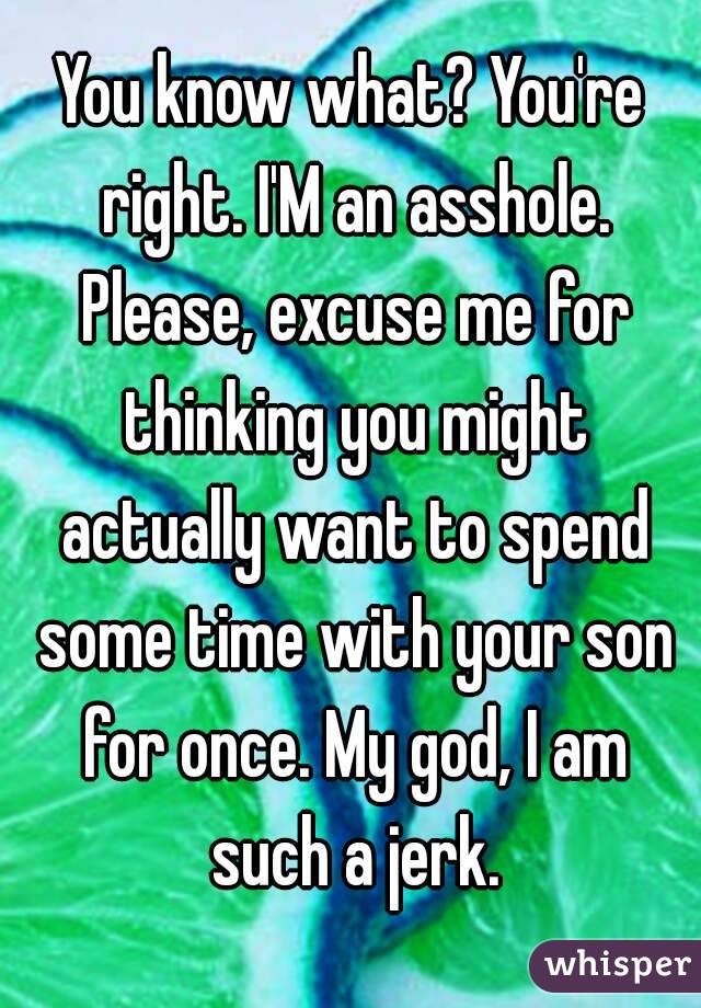 You know what? You're right. I'M an asshole. Please, excuse me for thinking you might actually want to spend some time with your son for once. My god, I am such a jerk.