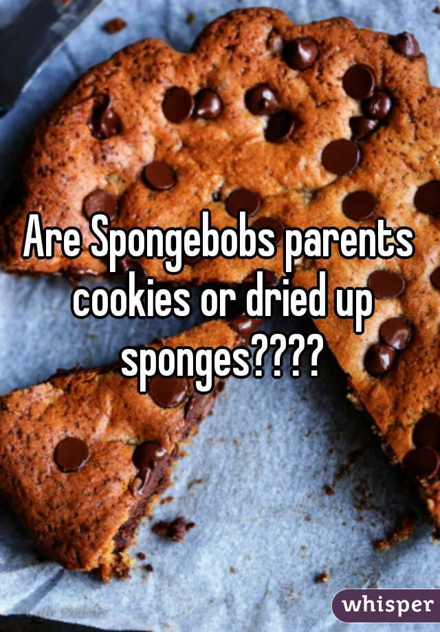 Are Spongebobs parents cookies or dried up sponges????