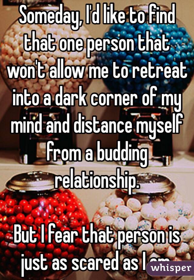 Someday, I'd like to find that one person that won't allow me to retreat into a dark corner of my mind and distance myself from a budding relationship.

But I fear that person is just as scared as I am.