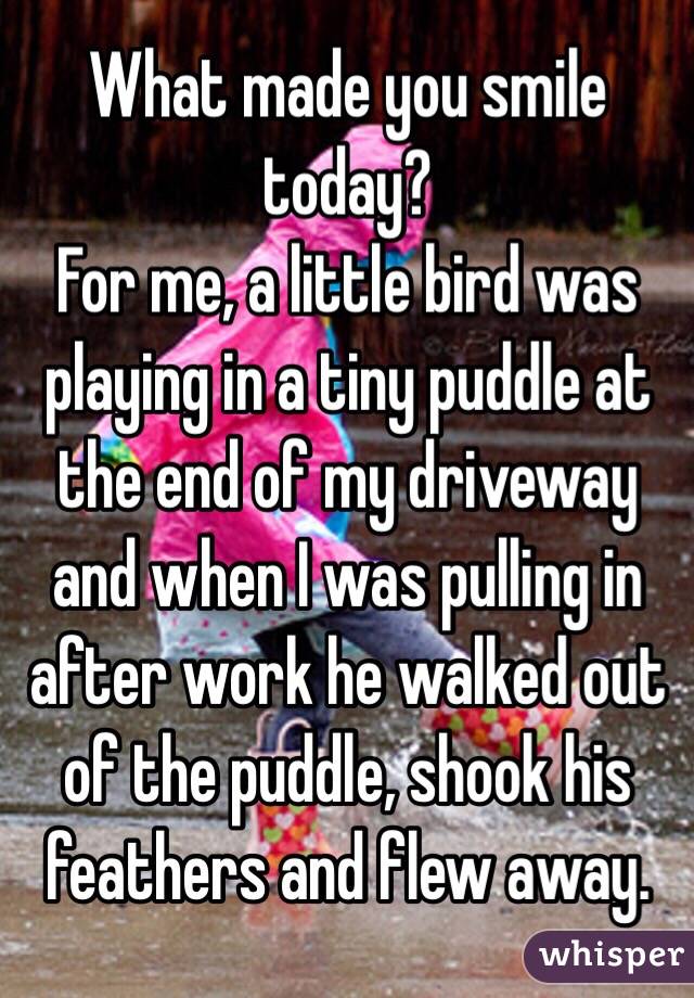 What made you smile today? 
For me, a little bird was playing in a tiny puddle at the end of my driveway and when I was pulling in after work he walked out of the puddle, shook his feathers and flew away. 