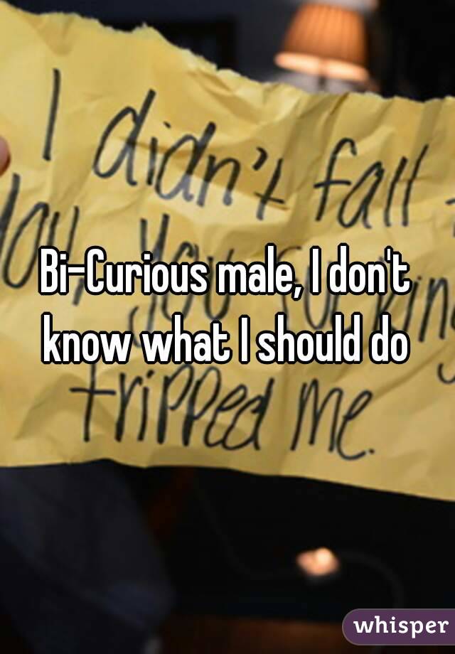 Bi-Curious male, I don't know what I should do 