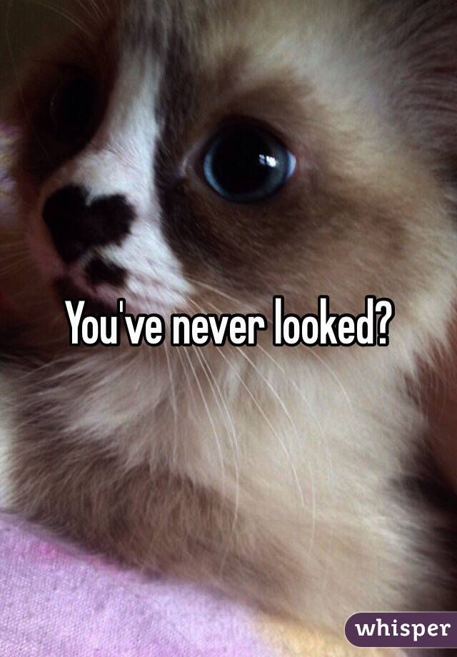 You've never looked?