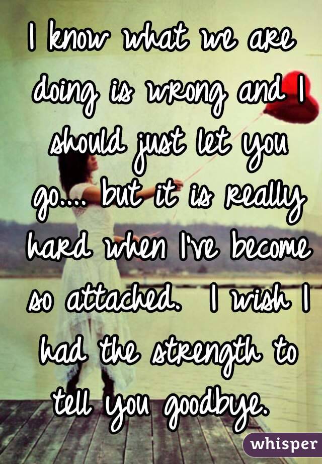 I know what we are doing is wrong and I should just let you go.... but it is really hard when I've become so attached.  I wish I had the strength to tell you goodbye. 