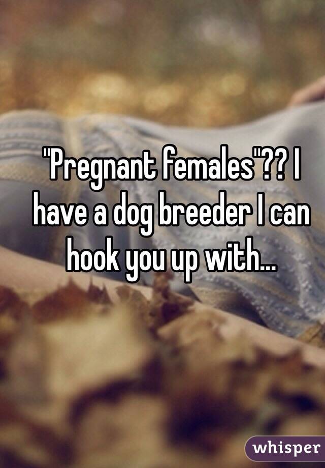 "Pregnant females"?? I have a dog breeder I can hook you up with...