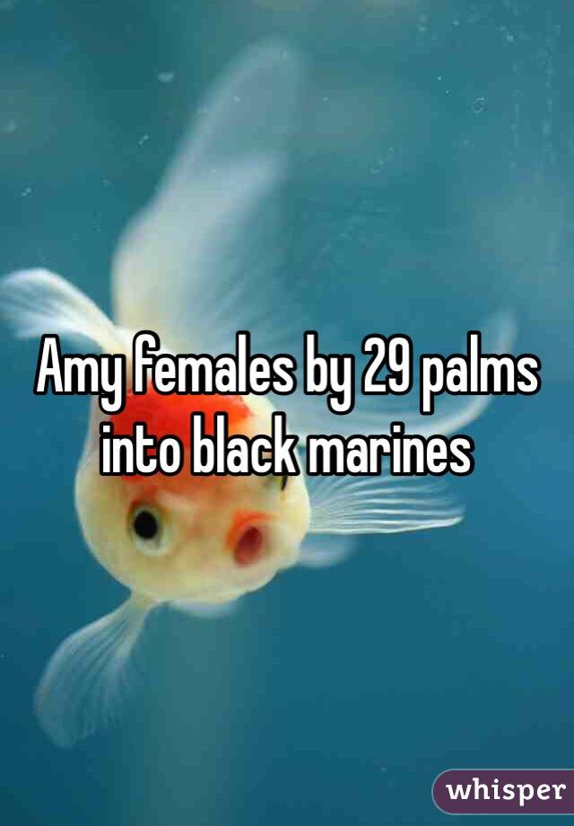 Amy females by 29 palms into black marines 