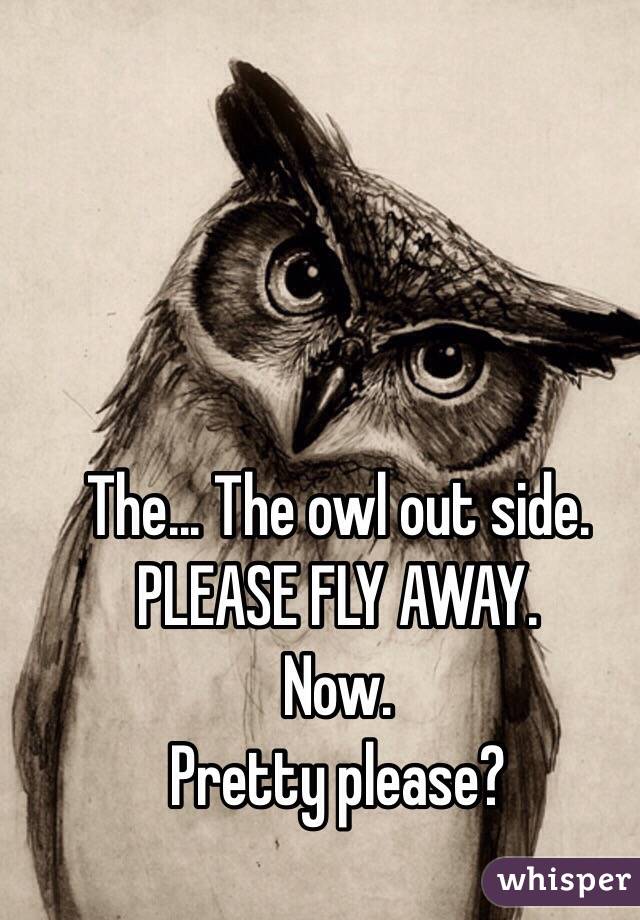 The... The owl out side. 
PLEASE FLY AWAY.
Now. 
Pretty please? 
