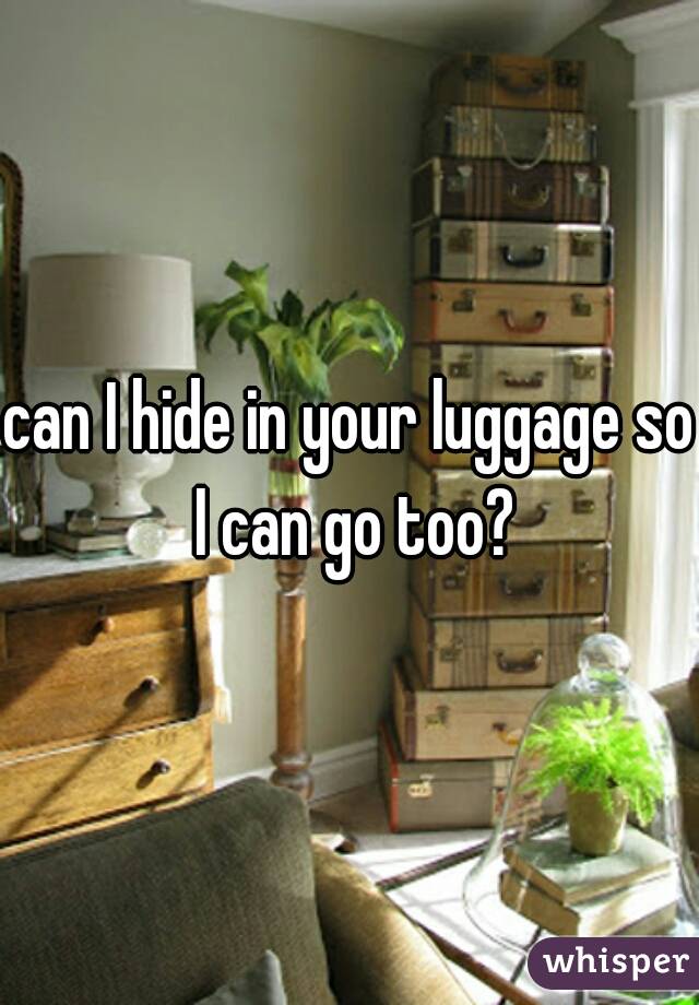 can I hide in your luggage so I can go too?