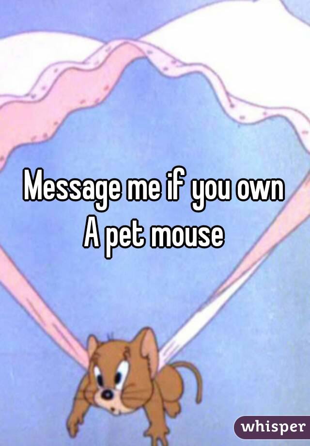 Message me if you own
A pet mouse