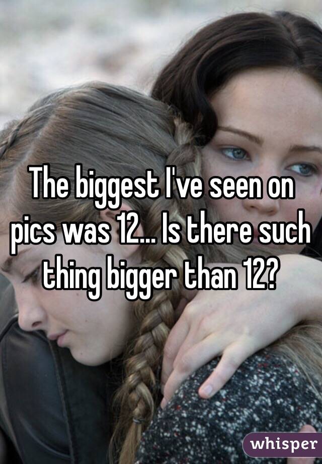 The biggest I've seen on pics was 12... Is there such thing bigger than 12? 